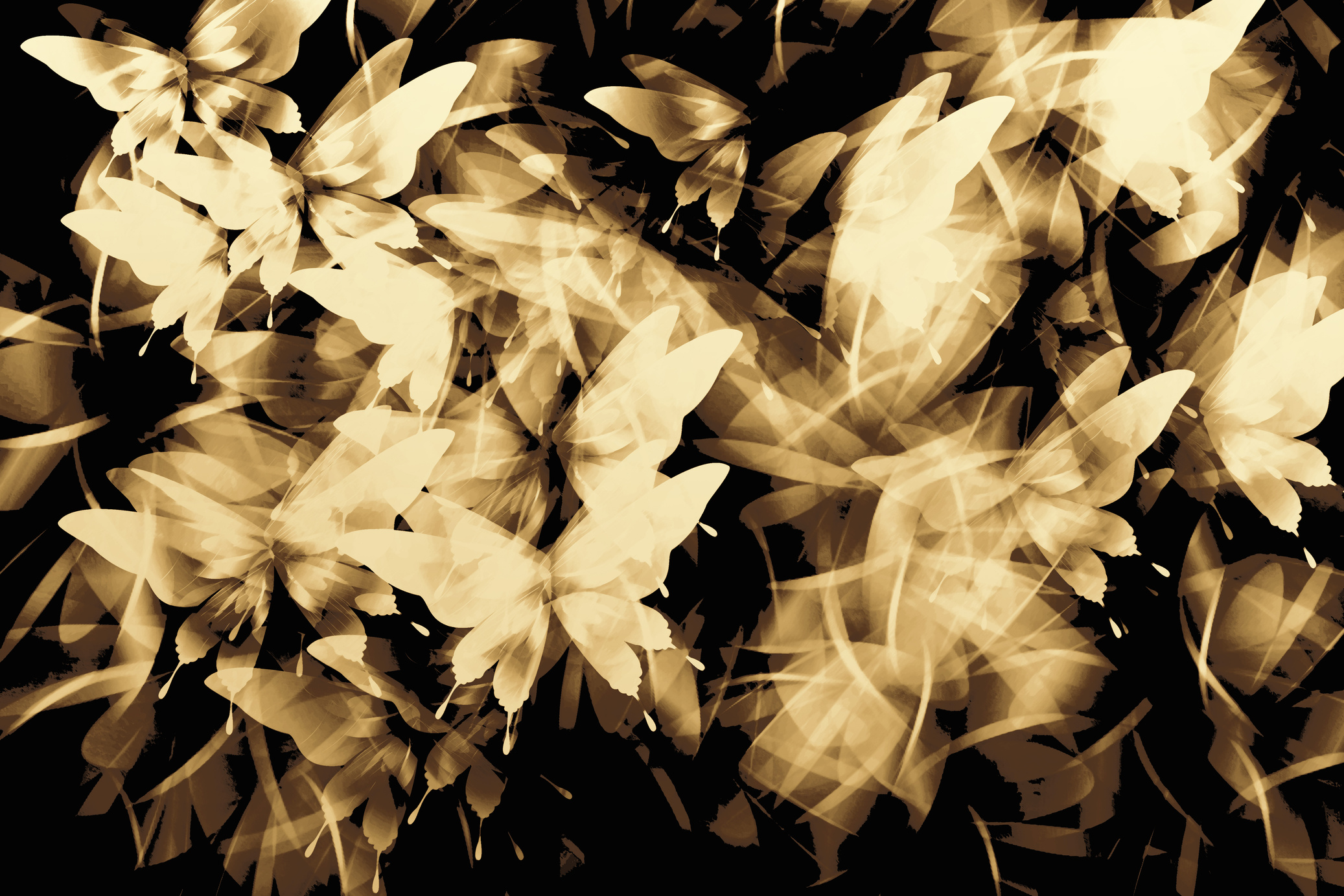 Abstract romantic background gold butterfly on black